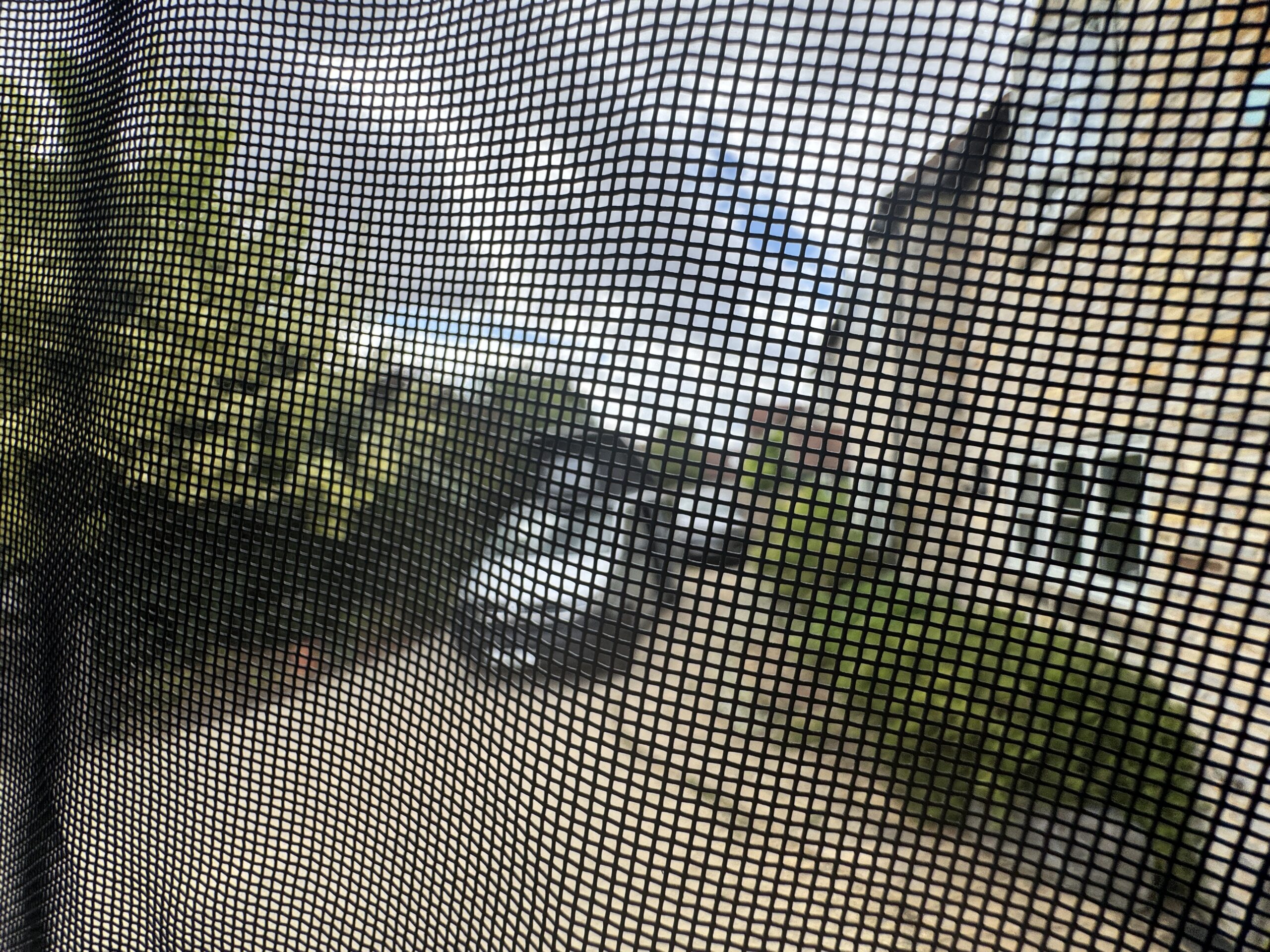 Volkswagen T6.1 Campervan Trek Edition (Roxanne)